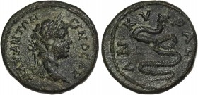 GALATIA. Ancyra. Caracalla (197-217). Ae.
Obv: ANTΩNEINOC AYΓOYCTOC.
Laureate head.
Rev: MHT ANKYPAC.
Coiled serpent, head erect right.
SNG Hunterian ...