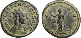 CARUS (282-283). Antoninianus. Lugdunum.
Obv: IMP C M AVR CARVS AVG.
Radiate and cuirassed bust right.
Rev: PAX AVGG / B.
Pax standing left with branc...