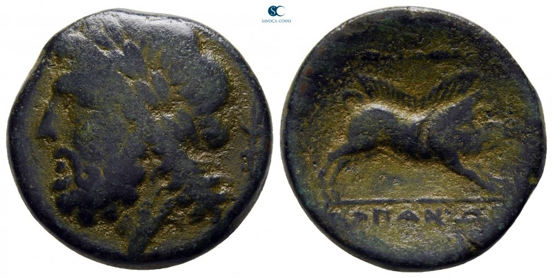 Apulia. Arpi circa 325-275 BC. 
Bronze Æ

21 mm., 7,24 g.



nearly very ...