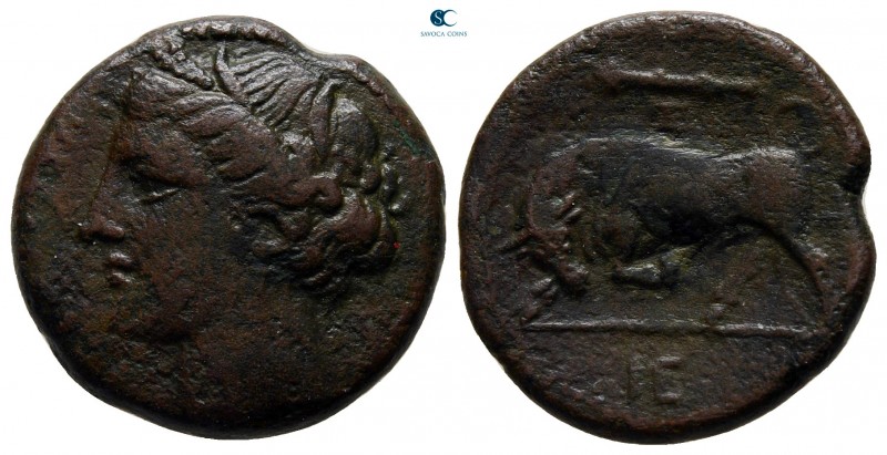 Sicily. Syracuse. Hieron II circa 275-215 BC. 
Bronze Æ

19 mm., 5,55 g.

...