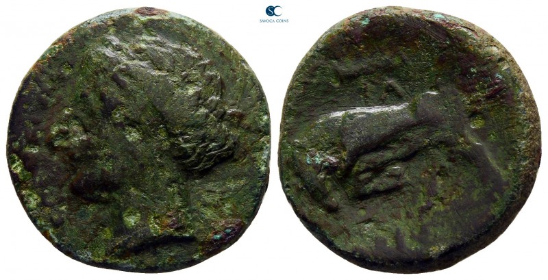 Sicily. Syracuse. Hieron II 275-215 BC. 
Bronze Æ

21 mm., 5,67 g.



fin...