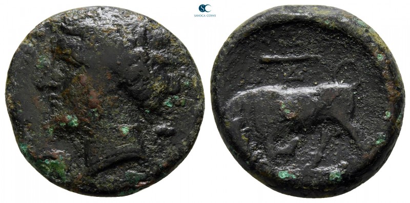 Sicily. Syracuse. Hieron II 275-215 BC. 
Bronze Æ

20 mm., 5,81 g.



nea...
