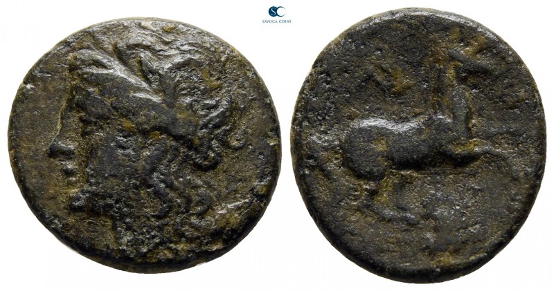 Sicily. Syracuse. Hieron II 275-215 BC. 
Bronze Æ

18 mm., 3,93 g.



ver...
