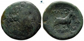 Kings of Macedon. District Amphaxitis. Time of Philip V - Perseus 187-168 BC. Bronze Æ