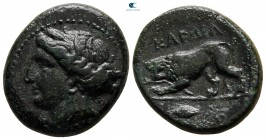 The Thracian Chersonese. Cardia circa 350-300 BC. Bronze Æ