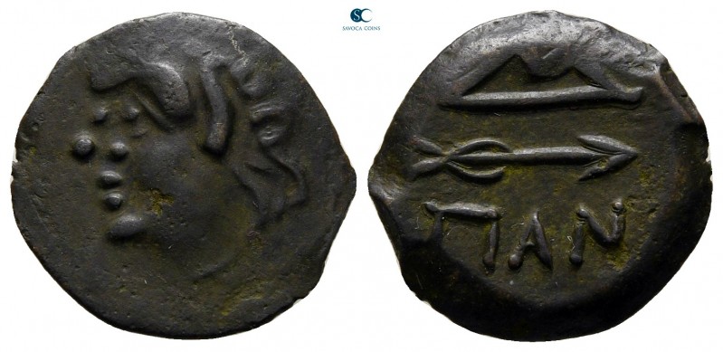 Cimmerian Bosporos. Pantikapaion circa 304-250 BC. 
Bronze Æ

16 mm., 2,06 g....