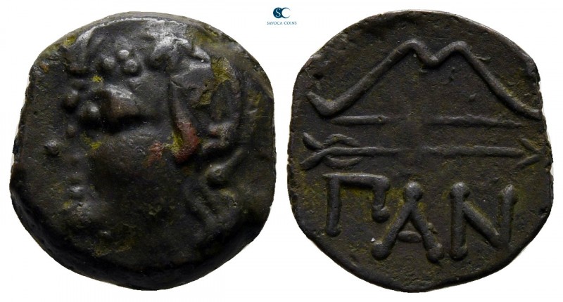 Cimmerian Bosporos. Pantikapaion circa 304-250 BC. 
Bronze Æ

13 mm., 2,04 g....