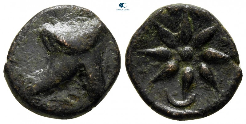 Pontos. Uncertain mint circa 130-100 BC. 
Bronze Æ

17 mm., 3,26 g.



ve...