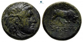 Seleukid Kingdom. Sardeis. Seleukos I Nikator circa 312-281 BC. Bronze Æ