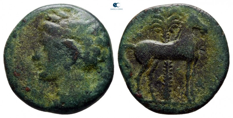 Zeugitania. Carthage circa 400-350 BC. 
Bronze Æ

16 mm., 2,31 g.



near...