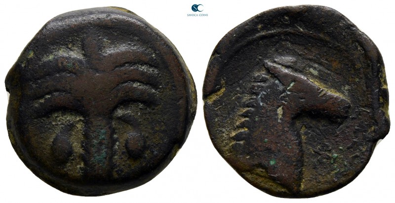 Zeugitania. Carthage circa 350-320 BC. 
Bronze Æ

20 mm., 6,54 g.



very...