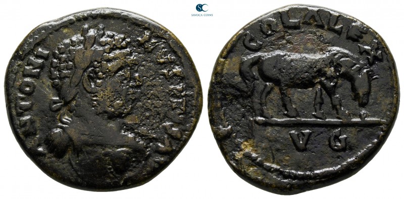 Troas. Alexandreia. Caracalla AD 198-217. 
Bronze Æ

24 mm., 7,68 g.



v...