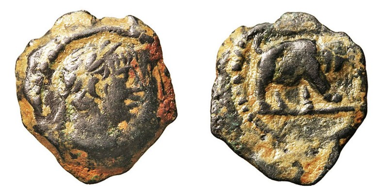 Reino Seleucida
Alejandro I Balas
AE-12. A/Cabeza diademada a der. R/Elefante ...