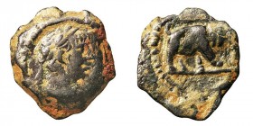 Reino Seleucida
Alejandro I Balas
AE-12. A/Cabeza diademada a der. R/Elefante a der. 1.61g. GC.7041 vte. Muy escasa. MBC.