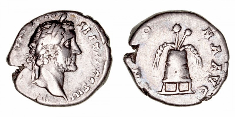 Antonino Pío
Denario. AR. Roma. (138-161). R/ANNONA AVG. Modio con dos mazorcas...