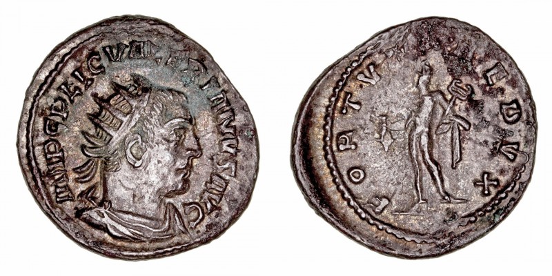 Valeriano I
Antoniniano. VE. (253-260). R/FORTVNA REDVX. 3.89g. RIC.214. Pátina...