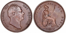Gran Bretaña Guillermo IV
Penny. AE. 1834. 19.03g. KM.707. Suave pátina. Rara así. MBC+/EBC-.