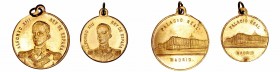 Alfonso XIII
Medalla. AE. Palacio Real Madrid. Lote de 2 medallas (26 y 21 mm). Con anillas. MBC+.