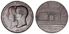 Napoleón III
Medalla. AE. (1867). Eugenia Emperatriz y Napoleón III Emperador. Palacio de Industria. Grabador Caqué y J. Wiener. 50.00mm. Golpecitos ...