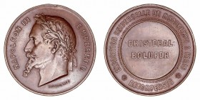 Napoleón III
Medalla. AE. 1867. Exposición Universal de París. Dedicada. Grabador H. Ponscarme. 51.00mm. Golpecitos en canto. MBC+.