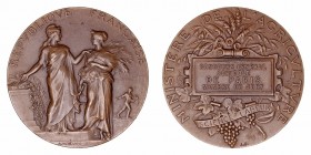 Medalla. AE. s/f. Ministerio de Agricultura. Concurso general, miembro del jurado. Grabador Alphee Dubois. 50.00mm. EBC-.