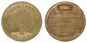 Medalla. AE. (hacia 1860). Minervae Baeticae (Real Academia Sevillana de las Buenas Letras). Premio. 61.00mm. Barrera 108.1. Escasa así. EBC.