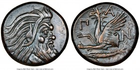 CIMMERIAN BOSPORUS. Panticapaeum. 4th century BC. AE (22mm, 11h). NGC XF. Head of bearded Pan right / Π-A-N, forepart of griffin left, sturgeon left b...