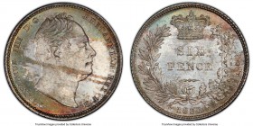 William IV 6 Pence 1831 MS65 PCGS, KM712, S-3836. Attractive multi-colored toning. 

HID09801242017

© 2020 Heritage Auctions | All Rights Reserve...