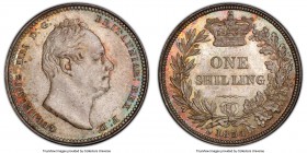 William IV Shilling 1834 MS65 PCGS, KM713, S-3835. Silvery gray centers with olive and magenta toned peripheries. 

HID09801242017

© 2020 Heritag...