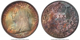 Victoria 6 Pence 1900 MS65+ PCGS, KM779, S-3941. Beautiful toning in multiple shades. 

HID09801242017

© 2020 Heritage Auctions | All Rights Rese...
