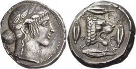 Leontini 
Tetradrachm circa 455-450, AR 17.12 g. Laureate head of Apollo r. Rev. LE – O – N – TI – NO – N Lion's head r., with jaws open and tongue p...