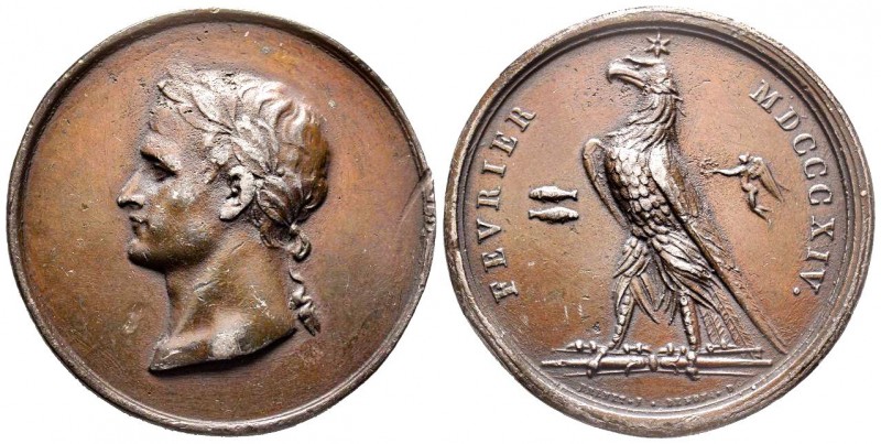 Premier Empire, Napoléon, 1814, AE 43.6 g. 43.4 mm, par Brenet, Réfrappe
Avers :...