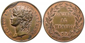 Médaille du merite, Naples, 1809, AE 14.84 g. 33.9mm
Ref : Bramsen 896, Julius 2177, Essling 2549, TNE 35.2, Turricchia 717
FDC