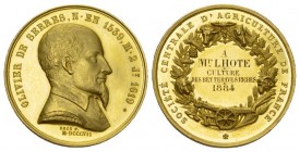 Frankreich 1884 Goldmedaille Oliviere de serres 19.9g 30.6mm sehr selten 
bis unzirkuliertes Prachtexemplar