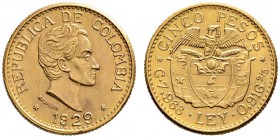 Kolumbien
Republik
5 Pesos 1929. S. Bolivar. KM 204, Fr. 115. 7,3 g Feingold
vorzüglich-prägefrisch
Aus Sammlung Dr. Lutz.