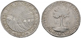 Zentralamerikanische Republik
8 Reales 1835 -Guatemala (NG)-. KM 4. 26,80 g
selten in dieser Erhaltung, winzige Schrötlingsfehler, vorzüglich-prägef...