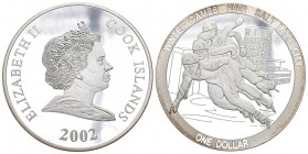 Cook Island 2002 1 Dollar Silber 19.8g Proof