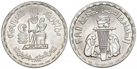 Egypt 1980 1 Pfund Silber 15g KM 511 unz