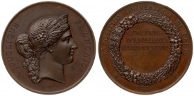 France Medal 1878 universal exhibition of Paris competition of breeding animals. Copper. Weight 64.73 gr. Diameter 50 mm.