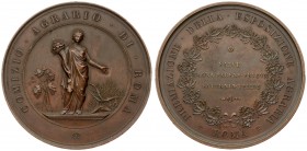 Italy Medal (1900) Agricultural rally of Rome awarding of the agricultural exhibition. Salve magna parens frugum saturnia tellus/ Long live the fruits...