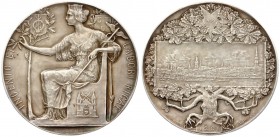 Latvia Medal 1901 of the Commercial and Industrial Exhibition in Riga. Germany empire Berlin; the firm of O. Ertel (ob. St. - bottom left: OERTEL BERL...