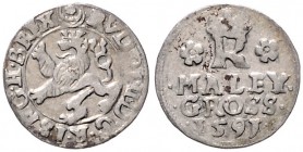 COINS MINTED IN BOHEMIA DURING THE REIGN OF RUDOLF II (1576 - 1612)&nbsp;
Small groschen, 1591, 0,98g, Jáchymov. Hal. 406&nbsp;

VF | VF