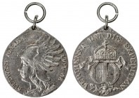 GERMAN SOUTH WEST AFRICA: Wilhelm II, 1888-1918, steel medal, 1907, The South West African Campaign Medal ("Südwestafrika-Denkmünze") with loop as mad...