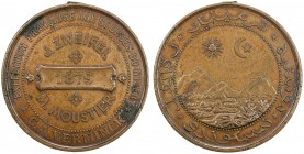 NIGER: AE medal (22.99g), 1879, 37mm bronze medal for the French Expedition to the Source of the Niger River by C. A. Verminck, "1879" on central cart...