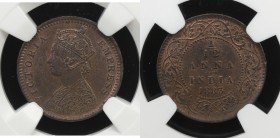 BRITISH INDIA: Victoria, Empress, 1876-1901, AE 1/12 anna, 1883(c), KM-483, NGC graded MS63 BR.

Estimate: USD 50 - 75