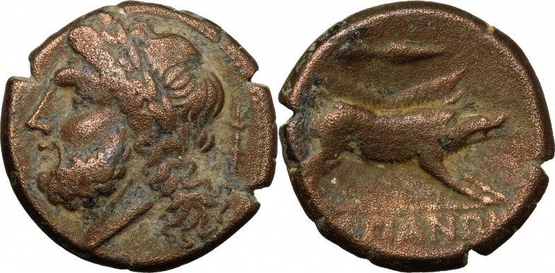 Greek Italy. Northern Apulia, Arpi. AE 22 mm, 325-275 BC. D/ Head of Zeus left, ...