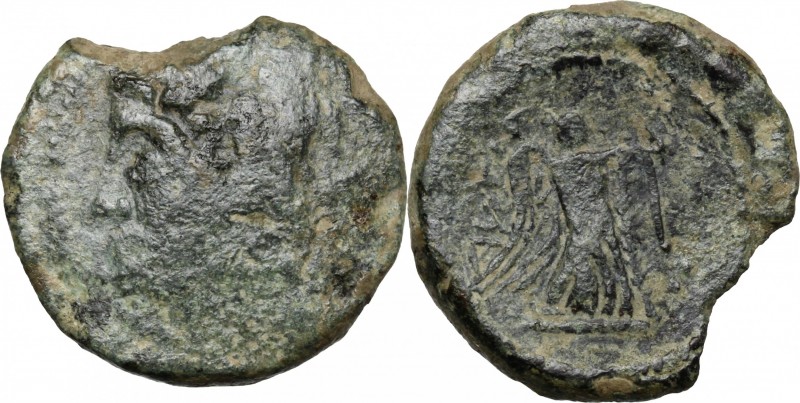 Greek Italy. Northern Apulia, Ausculum. AE 19 mm, c. 240 BC. D/ Head of Herakles...