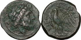 Greek Italy. Bruttium, The Brettii. AE Unit, 214-211 BC. D/ Head of Zeus right, laureate. R/ Eagle standing on thunderbolt, wings open; before, cornuc...