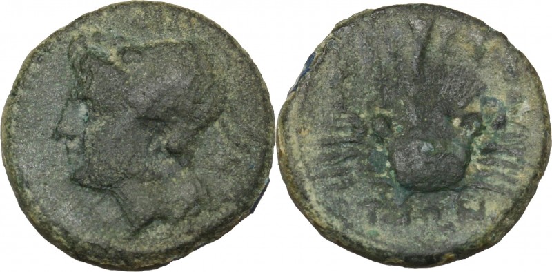 Greek Italy. Bruttium, The Brettii. AE Quarter, 214-211 BC. D/ Head of sea-godde...
