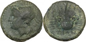 Greek Italy. Bruttium, The Brettii. AE Quarter, 214-211 BC. D/ Head of sea-goddess left, wearing crab-headdress. R/ Crab; above, cornucopiae. HN Italy...